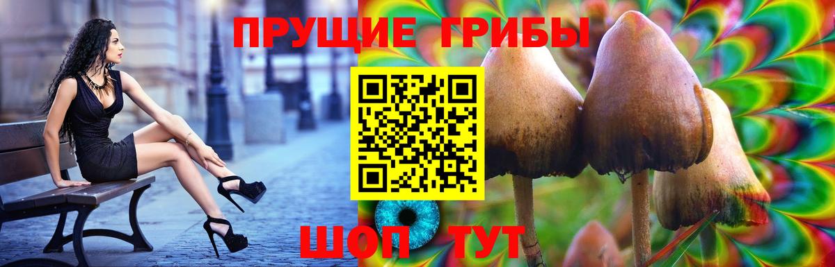 Псков  Псилоцибиновые грибы GOLDEN TEACHER  Вход с VPN  Галлюциногенные грибы Psilocybine cubensis 